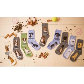Foozys Unisex Crew Socks | Canine/Dog Collection | German Shorthaired Pointer