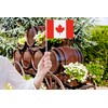 50 Pack Mini Canada Flags, 5.5x8.3 Inch, Grand Opening, Carnival,