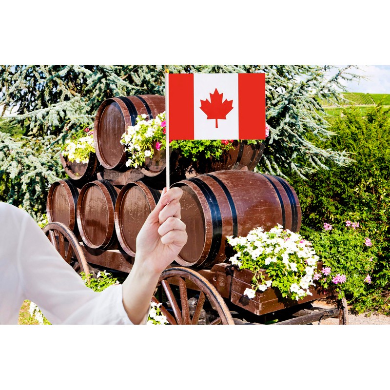50 Pack Mini Canada Flags, 5.5x8.3 Inch, Grand Opening, Carnival,