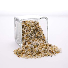 WGV Mini Crushed Rock Gravel, 1 lb Decorative Ornamental Pebbles Stone, Accent Vase Filler for Landscaping, Succlents, Aquarium and Terrarium, Crafting for Home Decor, 1 Plastic Bag, Mixed Color