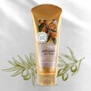 Hair treatment containing high purity argan oil 200g (WA82511) - Basic product / 순도 높은 아르간 오일 함유 헤어 트리트먼트 200g (WA82511) - 기본상품