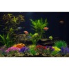 10PCS Aquarium Artificial Plastic Plants Decorations