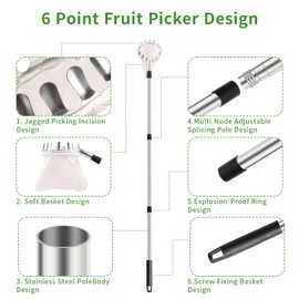 ENBOFID Apple Fruit Picker Pole with Basket Telescoping- 13 Ft Adjustable Harvesting Tool for Apples, Pears, Oranges, Lemons, Apricots, Mangos, Limes, Cherries, Grapefruits, Plums