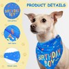 Pack of 2 Pet Triangular Scarf, Birthday Printed Triangular Scarf,