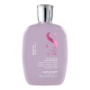 Shampoo Alisador Cabellos Rebeldes Alfaparf 250 Ml