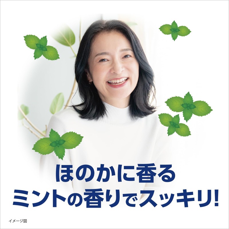 小林製薬のタフデント クリア除菌 入れ歯洗浄剤 ミントの香り 108錠