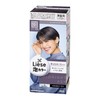 Liese Bubble Color Midnight Ash Hair Dye