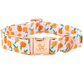 Elegant little tail Easter Dog Collar, Peach Print Dog Collar Pet Collar Orange Collar Girl or Boy Dog Collar Puppy Pet Gift Adjustable Dog Collar for Small Dogs