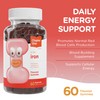 Zahler Chapter One Iron Gummies, Iron Gummies Supplement with Vitamin