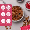 Crispy Mixed Berry Crumble Granola (4-Pack)