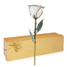 Forever Rose 24K Limited Edition Gold Dipped White Pearl Rose, The June Birthstone, A Unique & Everlasting Real Rose Hand Dipped in 24K Gold, 11” to 12”