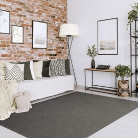 Superior Indoor Outdoor Area Rug, Handwoven Reversible Braided Home Decor for Kitchen, Entryway, Patio, Front Porch, Deck, Modern, Boho, Farmhouse Style, 4' x 6', Canvas