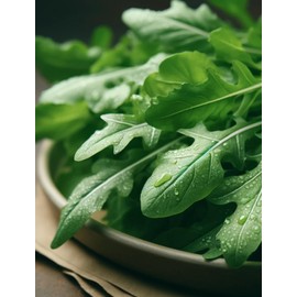 “Astro” Arugula Seeds – Easy, Fast Growing Peppery Salad Greens – Harvest in as Little as 20 Days | Never GMO, Always Heirloom and Open-Pollinated | USA Grown Seeds by Liliana's Garden |