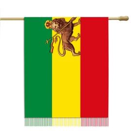 Endargros Ethiopia with Lion Nation Flag Womens Winter Scarf Soft Warm Blanket Scarves Fringe Pashmina Scarf 77" L x28