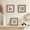 6x6 Picture Frames Set of 6 Rustic Wood Grain Photo