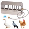 Automatic Chicken Waterer Stainless Steel Chicken Water Feeder Pigeon Water
