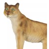 Mountain Lion Cougar Standing On Edge of Snow Capped Rock