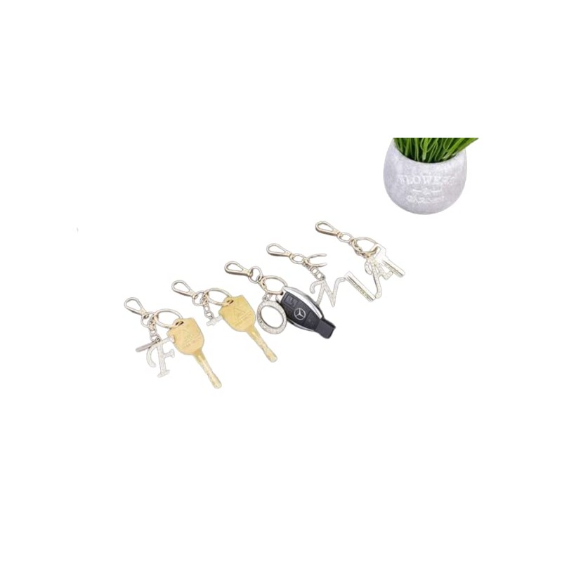 Rohans Womens Gold Plated Alloy Car Key Ring with Crystal