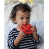 Lanco 8424678904507 Coral; 100% Natural Rubber, Red, 200 g, L90450