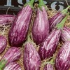 Galaxy of Stars Eggplant Seeds - 4 Oz ~26000 Seeds