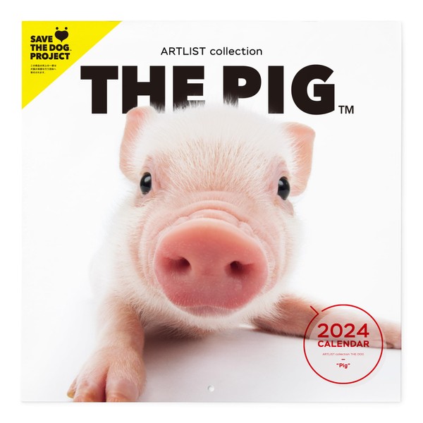 THE PIG 2024 Large Size Calendar [Pig] Pig