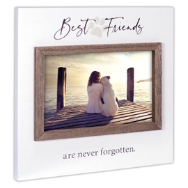 Malden International Designs 4x6 Best Friends Are Never Forgotten Pet Remembrance Rustic Whitewash Picture Frame with Attachment