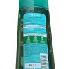 Garnier Fructis Pure Clean Purifying Shampoo, Silicone-Free, 12.5 Fl Oz,