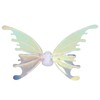 Electric Flapping Wing Moving Electrical Flapping Wing for for Party