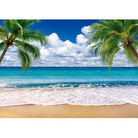LYCGS 7X5ft Summer Backdrop Tropical Beach Background Blue Sea Backdrop Summer Luau Palm Leaves Ocean Island Seaside Summer Photography Backdrop X-255