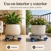 Base para Maceta con Ruedas Soporte para Plantas Rodante Ajustable