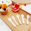 ZUDKSUY Caviar Spoons 20Pcs Mother of Pearl Spoons- Shell Spoon