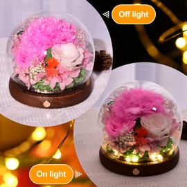 TAIKUU 久の物 Preserved Eternal Pink Real Carnation Gift Box Long-Lasting Real Flowers for Women Mom Wife Girlfriend Grandma Mother's Day Anniversary Birthday