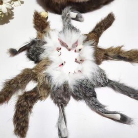 Caticalife Rabbit Fur Mice Toys for Indoor Cats - 5PCS Crinkle Sound Cat Toys, Durable & Non-Toxic, Self-Play Hunting Instincts.