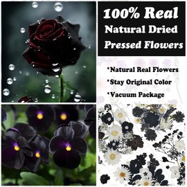 LUCISKY 94 Pcs Black Pressed Dried Flowers for Resin Molds, Real Natural Flowers Leave for DIY Crafts, Jewelry, Candle, Soap Making Gifts