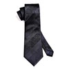 HISDERN Black Ties for Men Paisley Floral Men's Necktie &