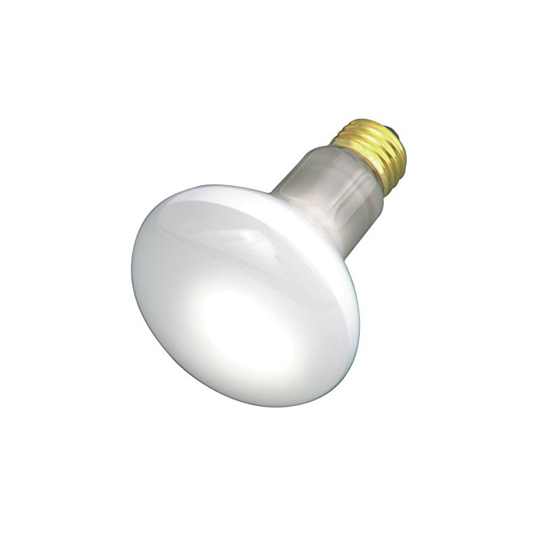 (Pack Of 6) 30R20/FL 120V - 30 Watt R20 Flood