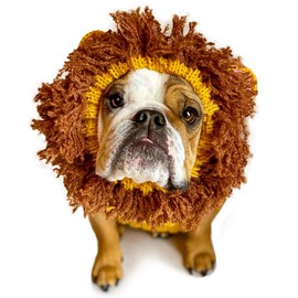Zoo Snoods Lion Dog Costume - Neck and Ear Warmer Hood for Pets (Large)