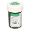 Wilton Icing Food Colouring 28 g