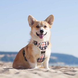 PoyPet No Pull Dog Harness, Front Reflective Pet Vest for Dogs with Easy Control Handle and Back, Perfect for Daily Training, Walking, Running (Checked Beige, XS)