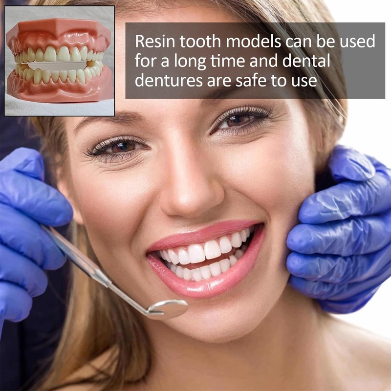 Pack of 56 Multi-Purpose False Teeth, Synthetic Polymer Teeth, False