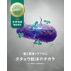Better future BF Shampoo 13.5 fl oz (400 ml) Thin