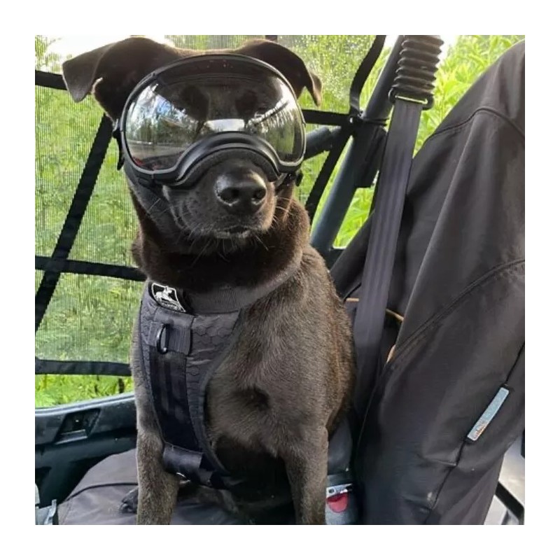 Vet Nets Polaris Rzr Pro R 4 UTV Rear Nets