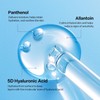 DIVE-IN Low Molecule Hyaluronic Acid Serum 50ml / Made in