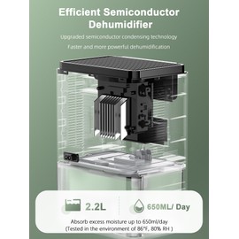 Dehumidifier,75 OZ Quiet Dehumidifier for Home Bedroom Bathroom RV Closet with Timer,Auto Shut Off,Sleep Mode,7 Colors LED Light (2200ML)