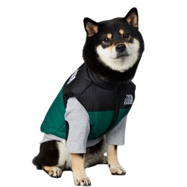 ChoChoCho Dog Puffer Vest, Stylish Dog Jacket, Warm Dog Cold Weather Coats, Snow Dog Winter Vest, Dog Winter Jacket for Dogs, Cats, Puppies Small Medium Large (Green, S)