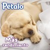 Pétalo Ultra Jumbo - Pack - 16 - Doble hoja