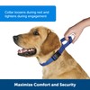 PetSafe Martingale Dog Collar with Quick-Snap Buckle - Petite, 3/8