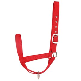 Cow Halter Cattle Halters Calf Halter，Adjustable Nylon Livestock Cattle Halter，for Miniature Horse Donkey Goat Foal (Red, Medium)