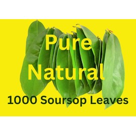 Organic Graviola Leaves/Soursop Leaves(guanabana)1000lves-by Purelife Herbs