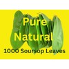 Organic Graviola Leaves/Soursop Leaves(guanabana)1000lves-by Purelife Herbs